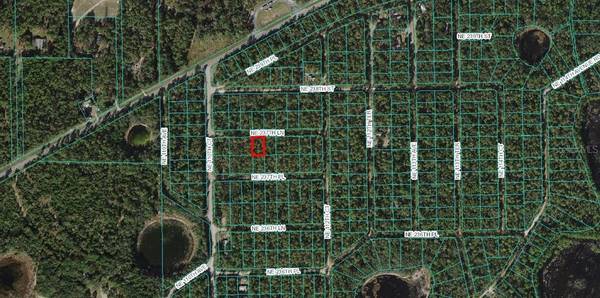 LOT 4 NE 237TH LN, Fort Mc Coy, FL 32134