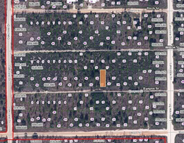 00 BANVON ST, Interlachen, FL 32148
