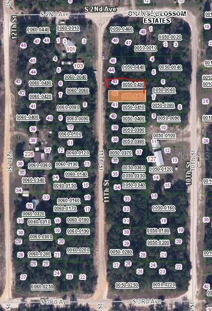 00 11TH ST, Interlachen, FL 32148