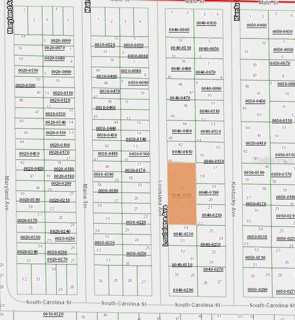 00 LOUISSIANA AVE, Hawthorne, FL 32640