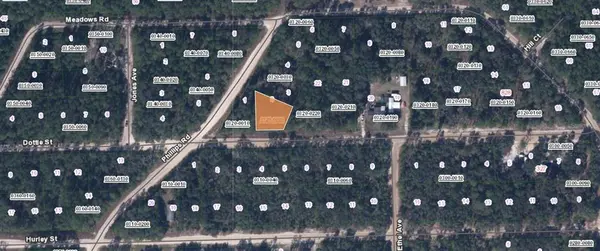 00 DOTTIE ST, Interlachen, FL 32148