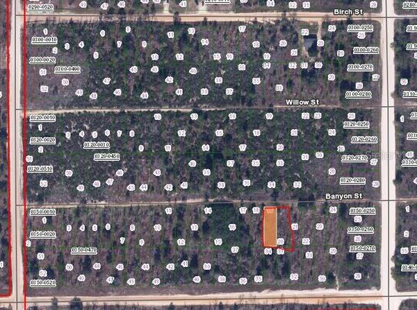 BANVON, Interlachen, FL 32148