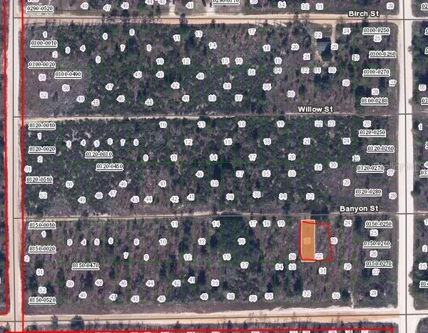 00 BANVON ST, Interlachen, FL 32148