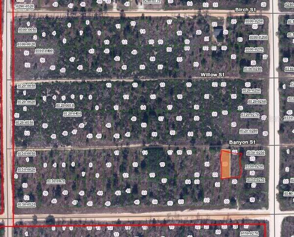 00 BANVON ST, Interlachen, FL 32148