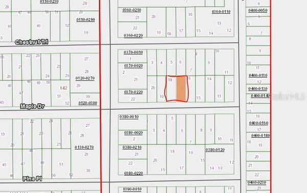 00 MAPLE DR, Interlachen, FL 32148