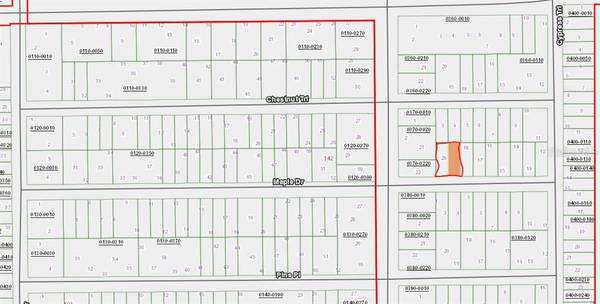 00 MAPLE DR, Interlachen, FL 32148
