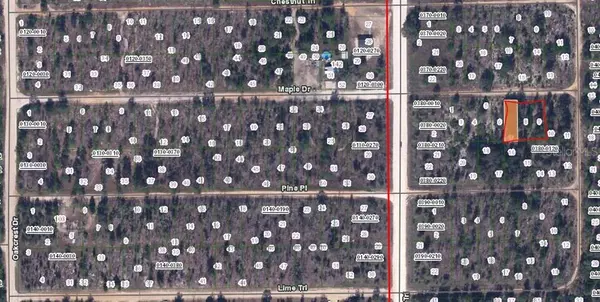 MAPLE DR, Interlachen, FL 32148