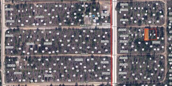 MAPLE DR, Interlachen, FL 32148