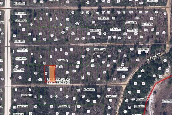 00 BANVON ST, Interlachen, FL 32148