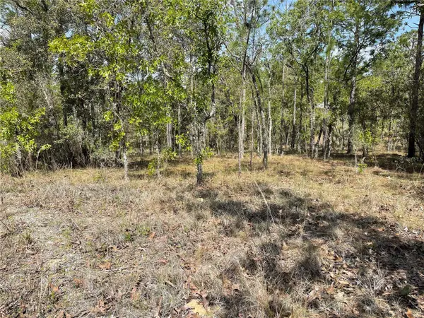 Lot 6 SE 2 ST, Williston, FL 32696
