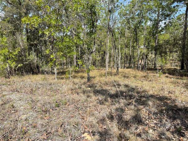 Lot 6 SE 2 ST, Williston, FL 32696