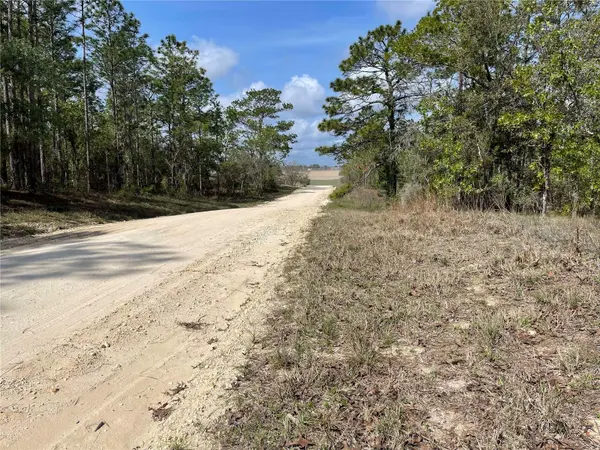 Lot 6 SE 2 ST, Williston, FL 32696