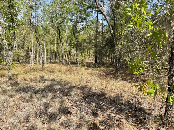 Lot 6 SE 2 ST, Williston, FL 32696