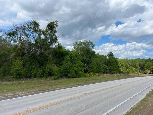 S HWY 25, Weirsdale, FL 32195