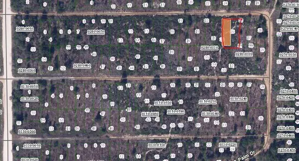 00 CHERRY ST, Interlachen, FL 32148
