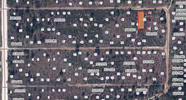 00 CHERRY ST, Interlachen, FL 32148