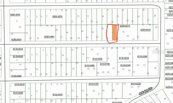 BIRCH ST, Interlachen, FL 32148