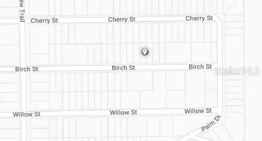 00 BIRCH ST, Interlachen, FL 32148