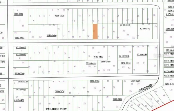 00 BIRCH ST, Interlachen, FL 32148