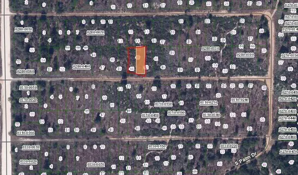 224 BIRCH ST, Interlachen, FL 32148
