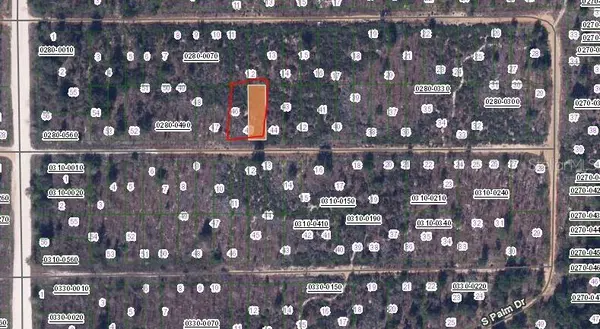 BIRCH ST, Interlachen, FL 32148