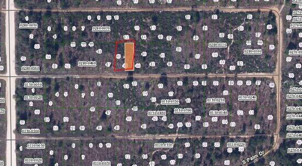 BIRCH ST, Interlachen, FL 32148