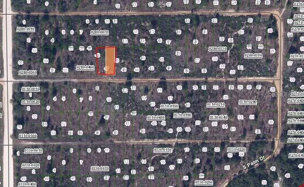 216 BIRCH ST, Interlachen, FL 32148