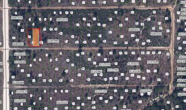 BIRCH ST, Interlachen, FL 32148