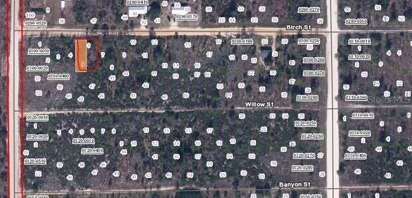 BIRCH ST, Interlachen, FL 32148