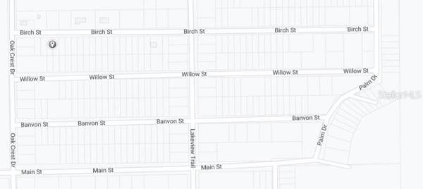 BIRCH ST, Interlachen, FL 32148