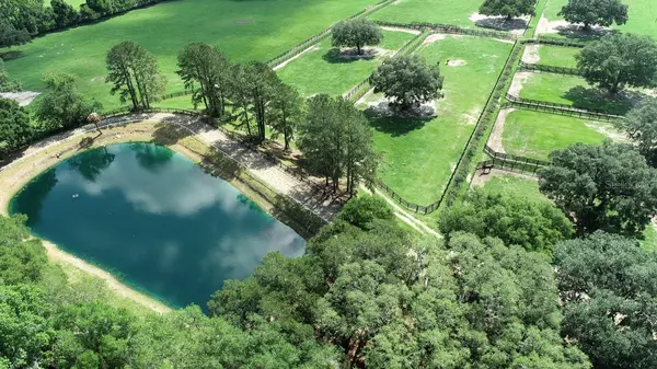 13450 NW GAINESVILLE RD, Reddick, FL 32686