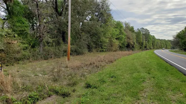 E HWY 316, Fort Mc Coy, FL 32134