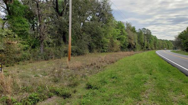 E HWY 316, Fort Mc Coy, FL 32134