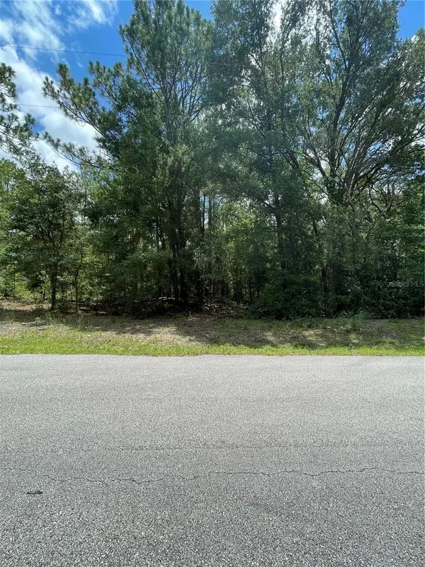 TBD SW 59TH LN, Dunnellon, FL 34431