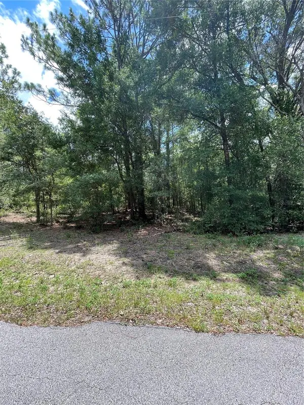 TBD SW 59TH LN, Dunnellon, FL 34431