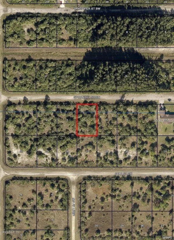 776 SW SPOONBILL ST, Palm Bay, FL 32908