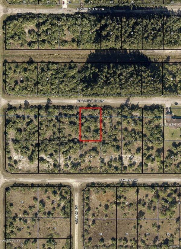 776 SW SPOONBILL ST, Palm Bay, FL 32908