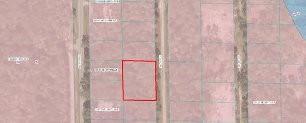 TBD NE 110 CT, Fort Mc Coy, FL 32134