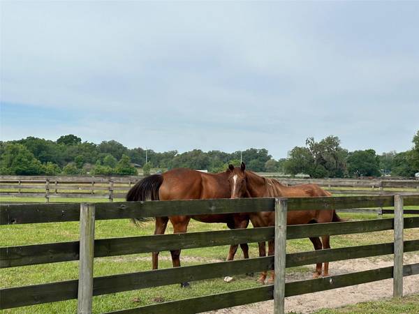 4101 NW 89TH PL, Ocala, FL 34482