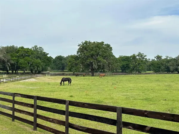 4101 NW 89TH PL, Ocala, FL 34482