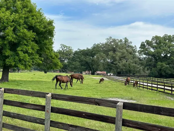 4101 NW 89TH PL, Ocala, FL 34482