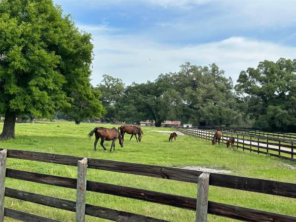 4101 NW 89TH PL, Ocala, FL 34482