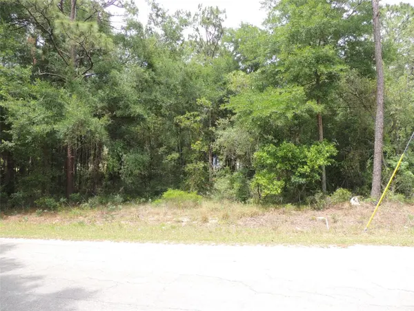 15955 NE 13TH ST, Williston, FL 32696