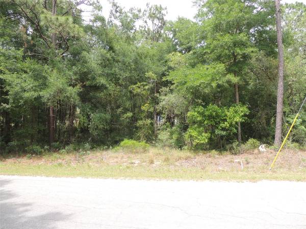 15955 NE 13TH ST, Williston, FL 32696