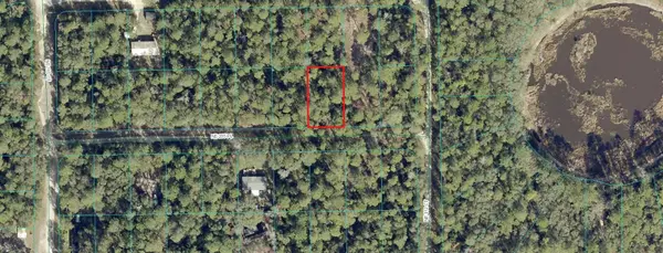 00 NE 235TH PL, Fort Mc Coy, FL 32134
