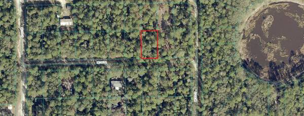 00 NE 235TH PL, Fort Mc Coy, FL 32134