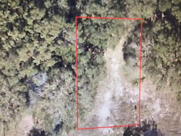 000 SW 113 LN, Dunnellon, FL 34432