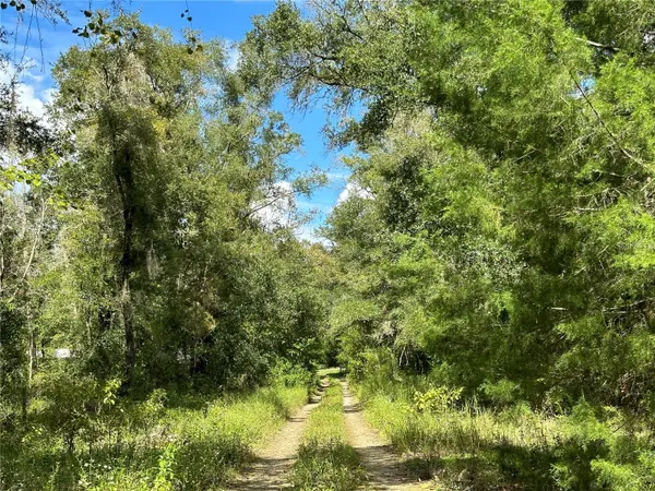 000 NE 156TH AVE, Williston, FL 32696