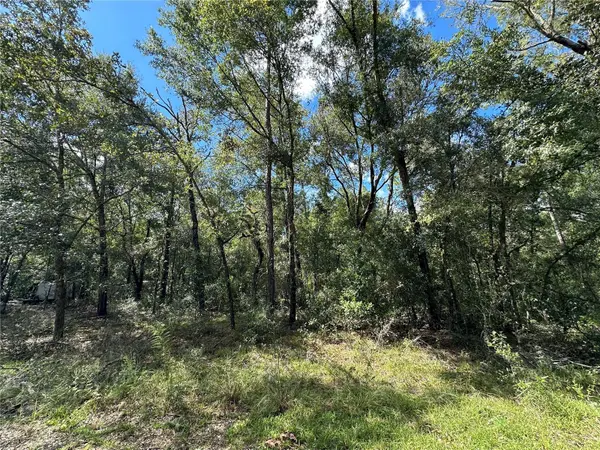 000 NE 156TH AVE, Williston, FL 32696
