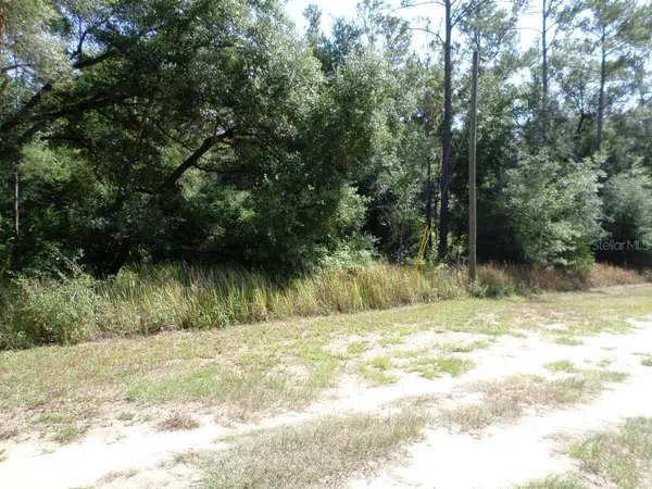 796 W LIGHTWOOD ST, Citrus Springs, FL 34434